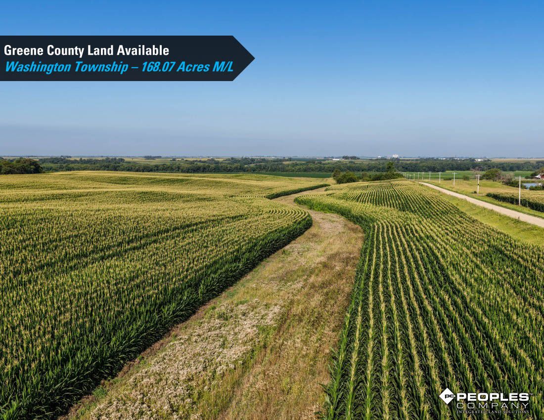 Listing Photo: Greene-County-Land-Available-168-Acres-19616 (14)